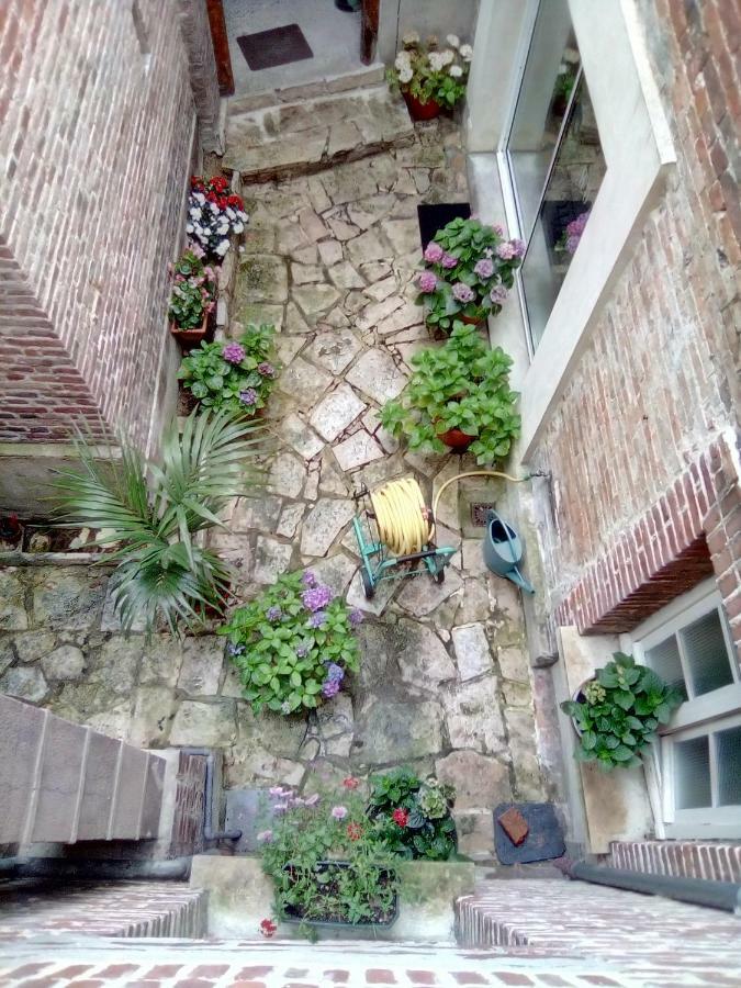 Alex Guest House Dozule Exterior photo